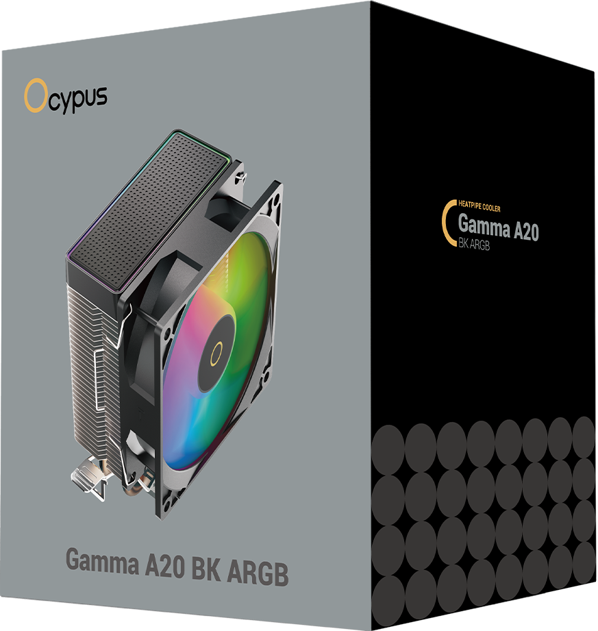 Ocypus Gamma A20